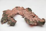 Natural, Native Copper Formation - Michigan #212383-1